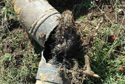 Blocked Drains Services